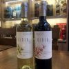 Vang ChiLe - KIDIA CLASSICO Sauvignon Blanc