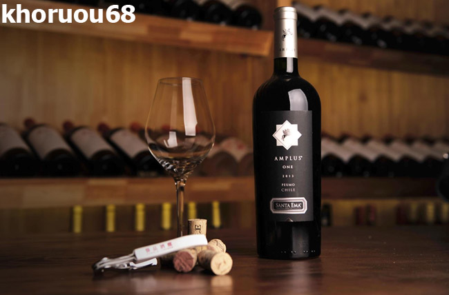 Rượu vang Chile Santa Ema Amplus Cabernet Sauvignon hảo hạng amplus santa ema