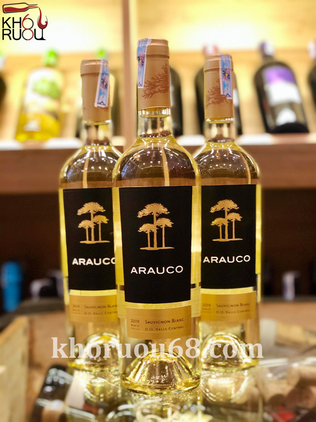 RƯỢU VANG CHILE ARAUCO SAUVIGNON BLANC (12,5%vol) NHẬP KHẨU