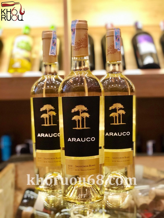 Arauco-blanc