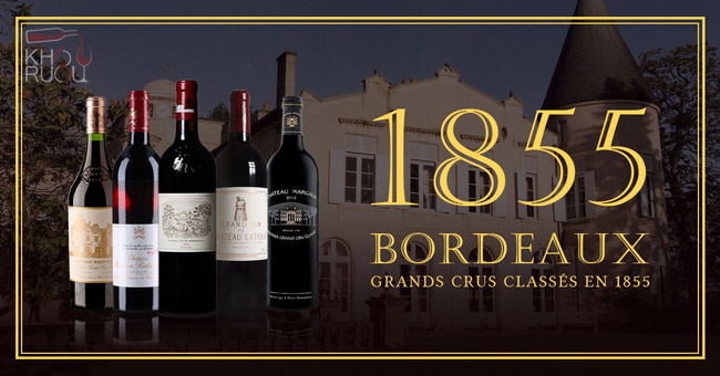 Lịch sử và sự ra đời phân loại rượu vang Bordeaux theo bảng xếp hạng 1855 
