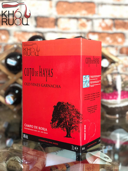 RƯỢU VANG TÂY BAN NHA COTO DE HAYAS
