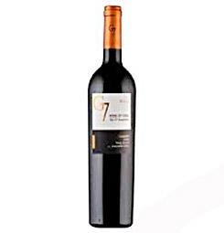 Rượu vang G7 Reserva Camenere 14%