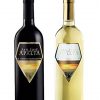 APALTA SAUVIGNON BLANC (14%vol)