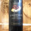 galopante-reserve Rượu Vang GALOPANTE RESERVA ( ChiLe - 13,5%vol )