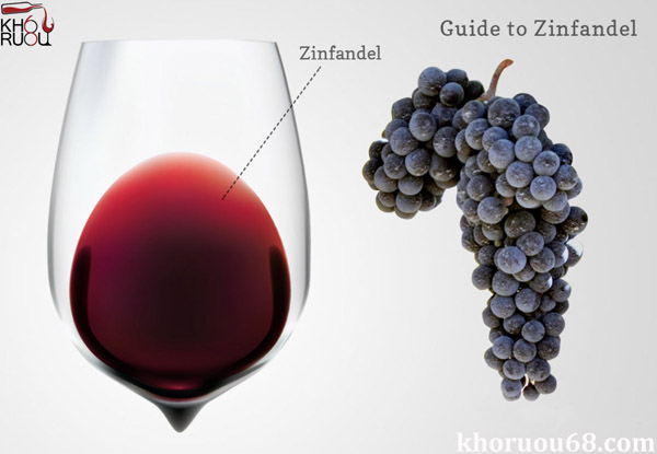 Rượu Vang ý Bịch The Wanted Zin ( 14,5% vol ) nhập khẩu