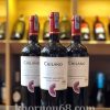 ruou-vang-chilano-cabernet-sauvignon ChiLano Cabernet Sauvignon
