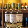 ruou-vang-chilano-sauvignon-blanc ChiLano Sauvignon Blanc