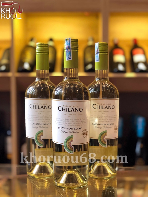 ruou-vang-chilano-sauvignon-blanc ChiLano Sauvignon Blanc