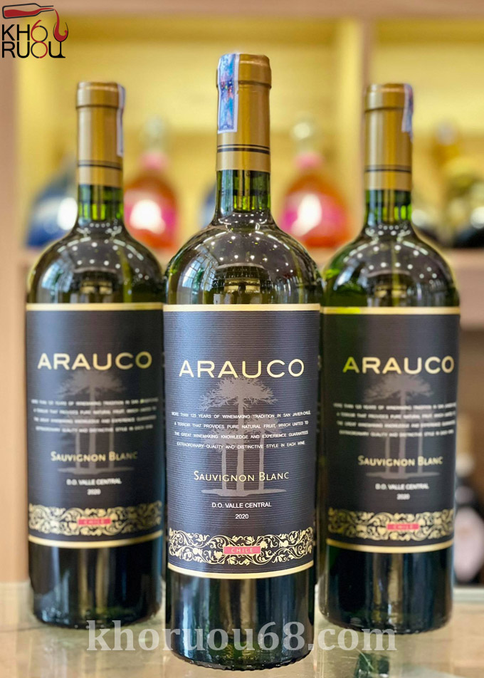 ruou vang chile arauco sauvignon blanc 1