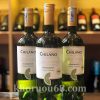 Rượu Vang Chilano Chardonnay