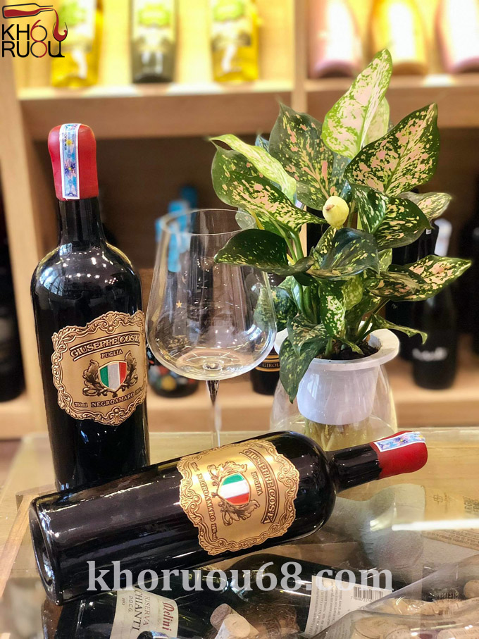 Rượu Vang Giuseppe Costa Negroamaro Rượu Vang Ý Giuseppe Costa Negroamaro