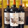 ruou-vang-y-borgodei-primitivo-di-manduria ruou-vang-y-borgodei-primitivo-di-manduria