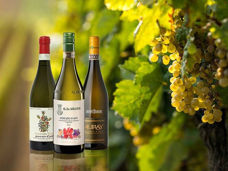 Rượu vang Ý Moscato  và cuộc hành trình chinh phục thế giới