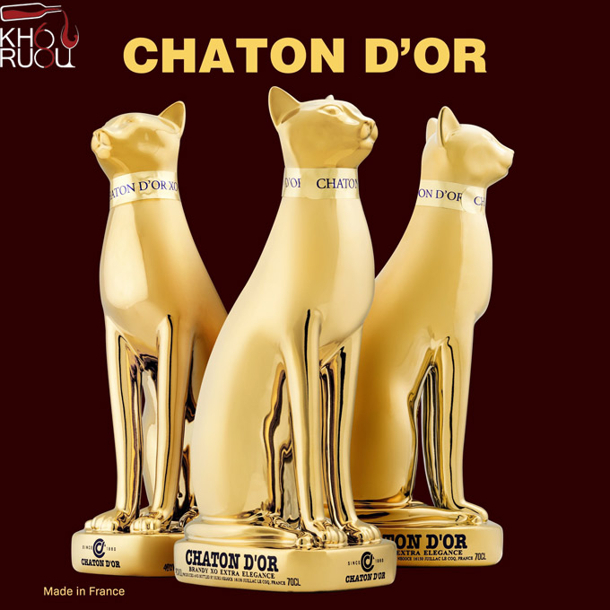 chaton dor brandy