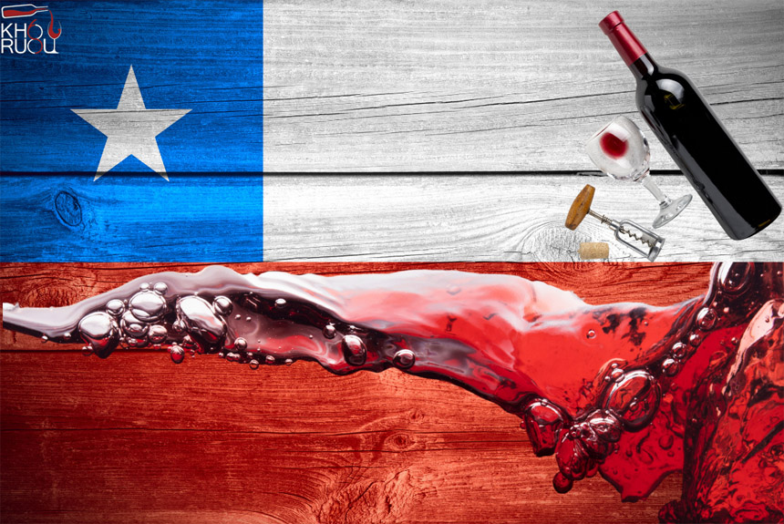 Những lợi ích sức khỏe của việc uống rượu vang đỏ Chile đúng cách