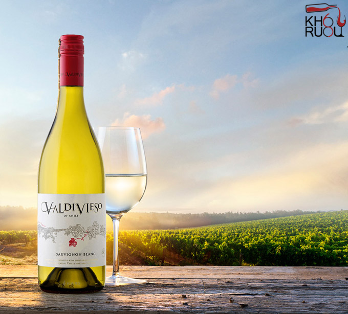 Rượu vang Chile Valdivieso Classic Sauvignon Blanc