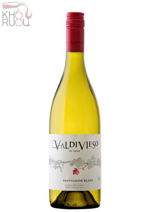 Rượu vang Chile Valdivieso Classic Sauvignon Blanc