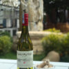 Rượu vang Chile Valdivieso Classic Sauvignon Blanc
