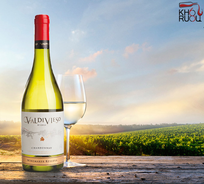 Rượu vang Chile Valdivieso Winemaker Reserva Chardonnay