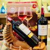 Rượu Vang Chile Santo Molina Cabernet Sauvignon