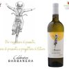 Rượu vang InBianco Sangiovese Toscana