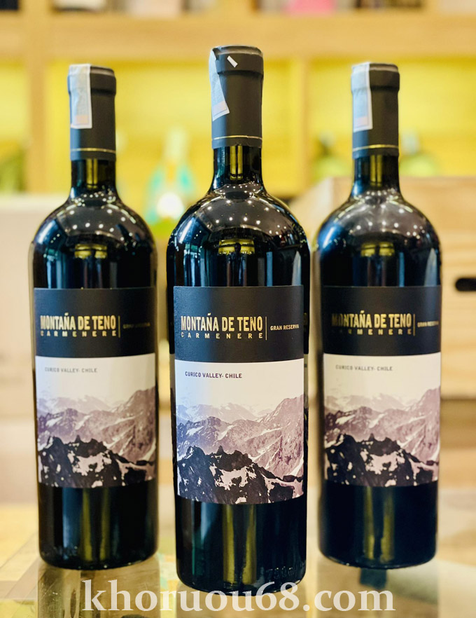 Rượu vang Chile Montana De Teno Gran Reserva ruou vang chile montana de teno