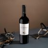 hussonet-cabernet-sauvignon Rượu vang Chile Hussonet Cabernet Sauvignon