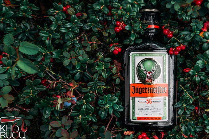 Rượu Ngoại Jagermeister Rượu Ngoại Jagermeister