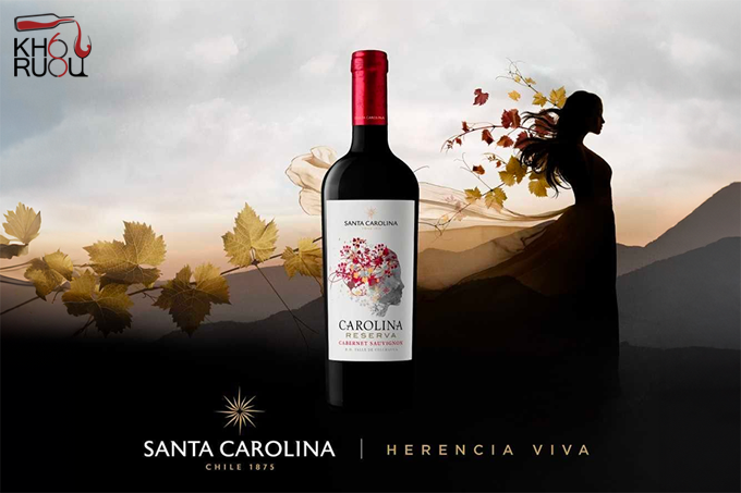 Rượu vang Chile Santa Carolina Reserva Cabernet Sauvignon santa carolina reserva cabernet sauvignon
