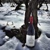 terre-nere-etna-rosso-calderara-sottana-prephylloxera-la-vigna-di-don-peppino-2020-. Rượu vang Ý Terre Nere Etna Rosso Calderara Sottana Prephylloxera La Vigna di Don Peppino 2020