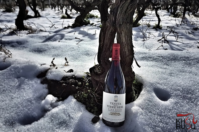 Rượu vang Ý Terre Nere Etna Rosso Calderara Sottana Prephylloxera La Vigna di Don Peppino 2020 Rượu vang Ý Terre Nere Etna Rosso Calderara Sottana Prephylloxera La Vigna di Don Peppino 2020