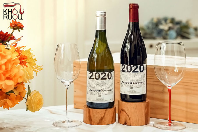 Rượu vang Ý Vini Franchetti Passobianco 2020
