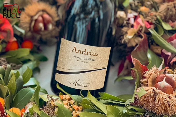 Rượu vang Ý Andrius Sauvignon Blanc