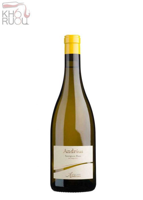 Rượu vang Ý Andrius Sauvignon Blanc