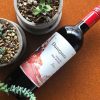 danzante-tuscan-red-blend-2019, Rượu vang Ý Danzante Tuscan Red Blend 2019