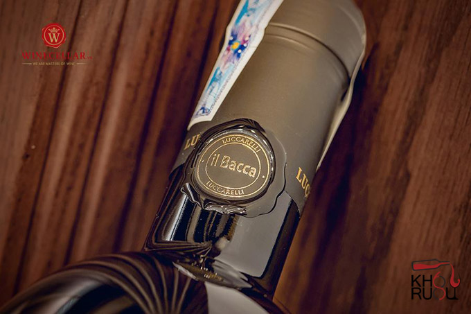 Rượu vang Ý IL Bacca 2019 Rượu vang Ý IL Bacca 2019