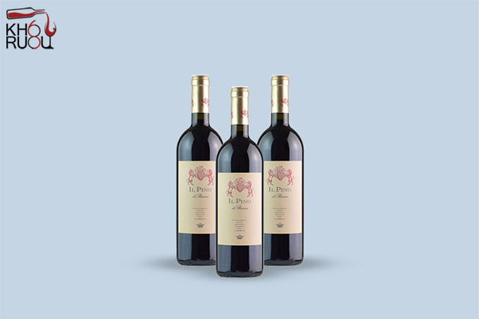 Rượu vang Ý IL Pino Di Biserno 2018 Rượu Vang Ý IL Pino Di Biserno 2018