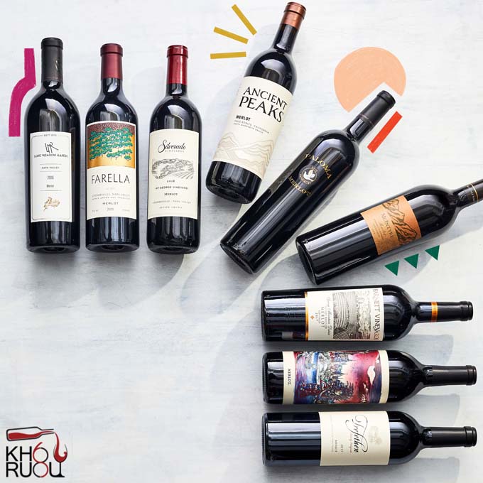 So Sánh Sự Khác Biệt Giữa Rượu Vang Cabernet Và Merlot