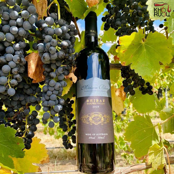 Cách Chọn Rượu Vang Đỏ Cho Tiệc Cưới Syrah/Shiraz