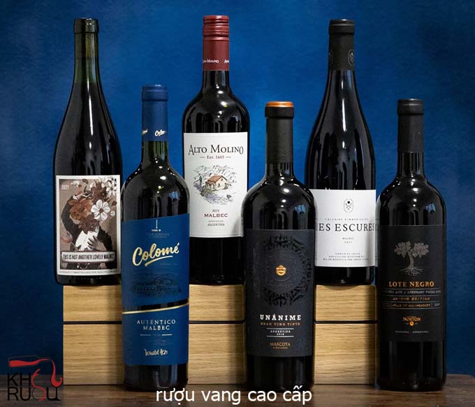 Khám Phá Các Thương Hiệu Rượu Vang Cao Cấp