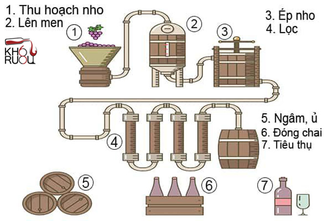 Quá trình ngâm rượu vang