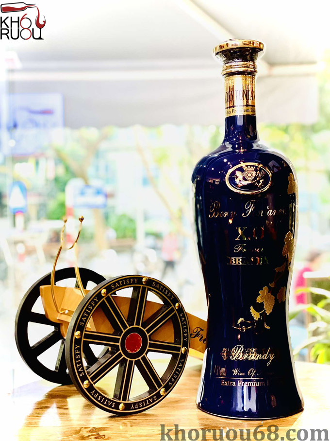 Rượu Bory Fontaney XO French Brandy