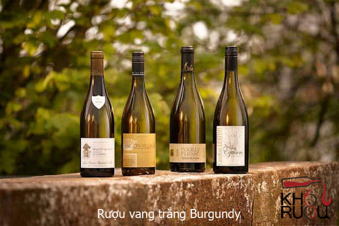 Rượu vang trắng Burgundy