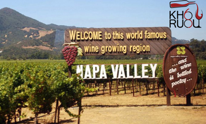 rượu vang Napa Valley 
