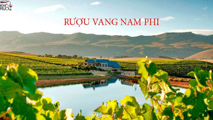 Rượu Vang Nam Phi