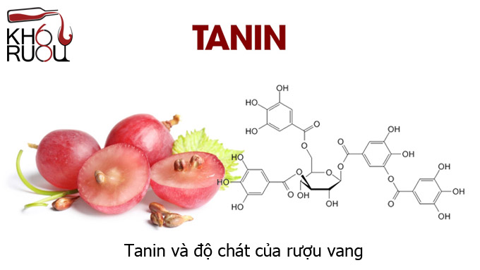 tanin và độ chát
