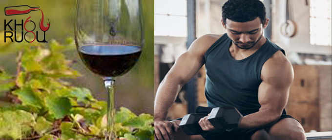 Các loại rượu ngoại phù hợp cho người tập gym