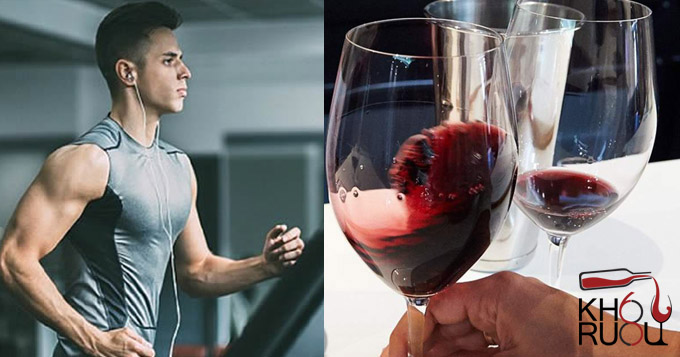 Các loại rượu ngoại phù hợp cho người tập gym Các loại rượu ngoại phù hợp cho người tập gym
