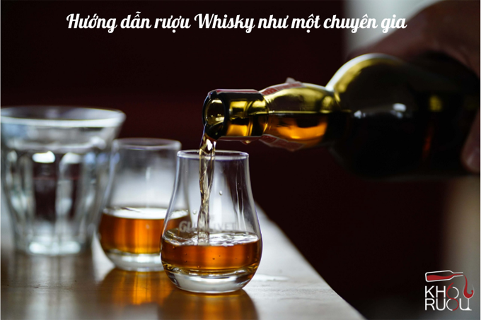 Hướng dẫn rượu Whisky như một chuyên gia